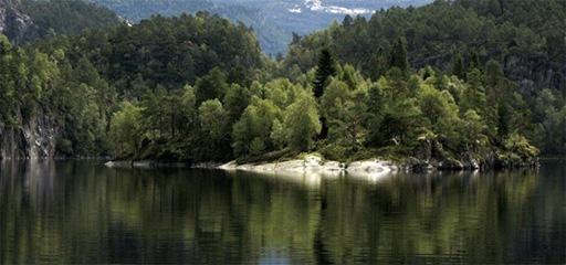 visuel_SurUneIle_Visuel-size-1